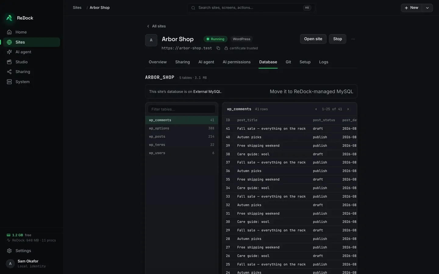 The Database tab of a site in the ReDock desktop app. A list of the site’s tables with their row counts on the left, and the rows of the selected table on the right with their columns, paged twenty at a time.