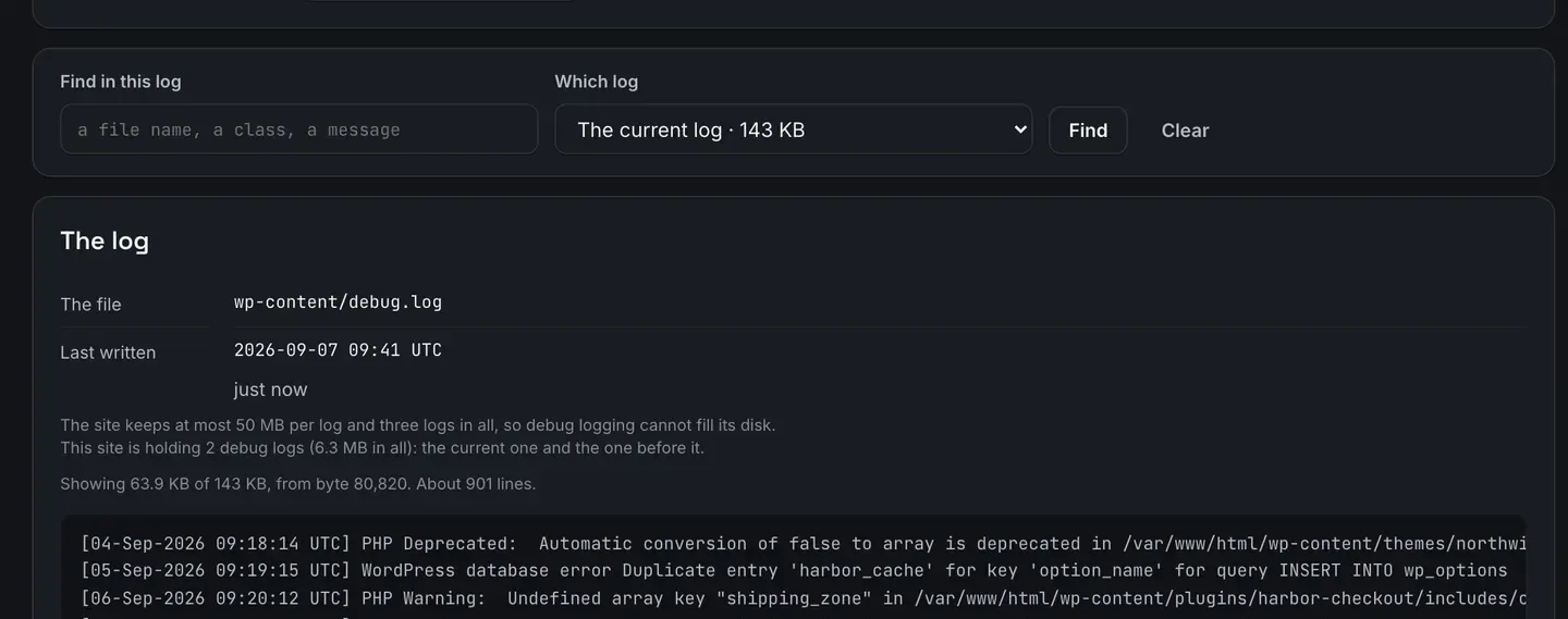 A Find in this log row with a field for a file name, a class or a message and a picker naming which log to read, above the log itself: the file name wp-content/debug.log, when it was last written, a note saying the site is holding two debug logs, and a block of dated PHP notices, warnings and database errors.