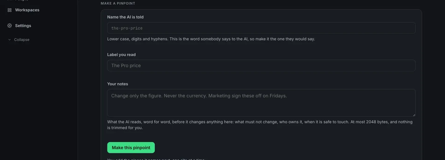 The Make a pinpoint form: a field for the name the AI is told showing the-pro-price, a field for the label you read showing The Pro price, and a notes box reading change only the figure, never the currency, with a line saying the note is what the AI reads before it changes anything, at most 2048 bytes, and nothing is trimmed for you.