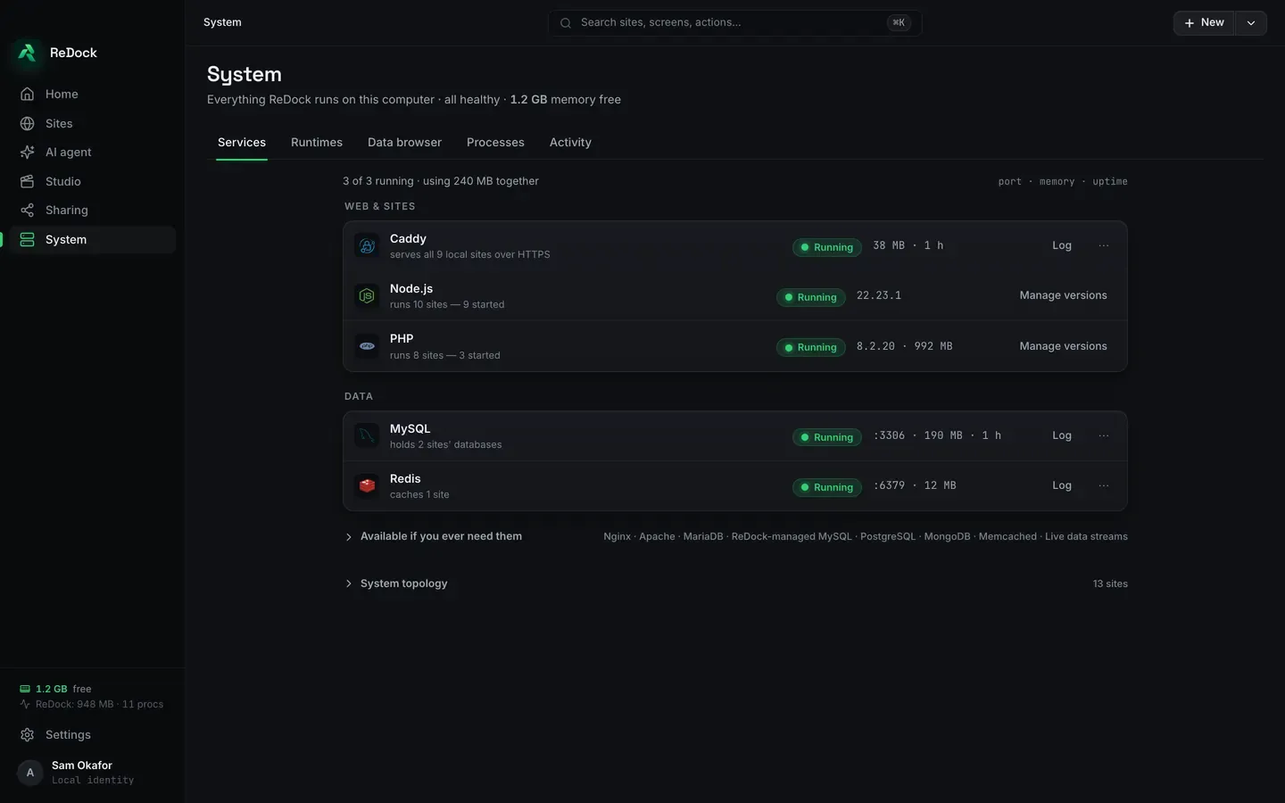 The System screen’s Services tab, listing what ReDock runs on this computer: Caddy serving the .test sites over HTTPS, Node.js and PHP with the versions in use, and under Data, MySQL holding the sites’ databases and Redis, each with its memory use, uptime and a link to its log.