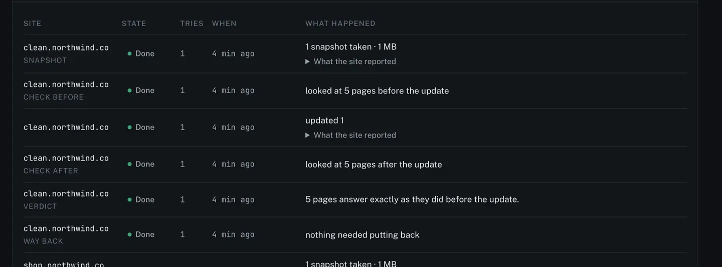 The Site by site table of a safe update job, with rows labelled Snapshot, Check before, the update itself, Check after, Verdict and Way back for each site, each carrying a state, a try count, a time and a sentence saying what the site reported.